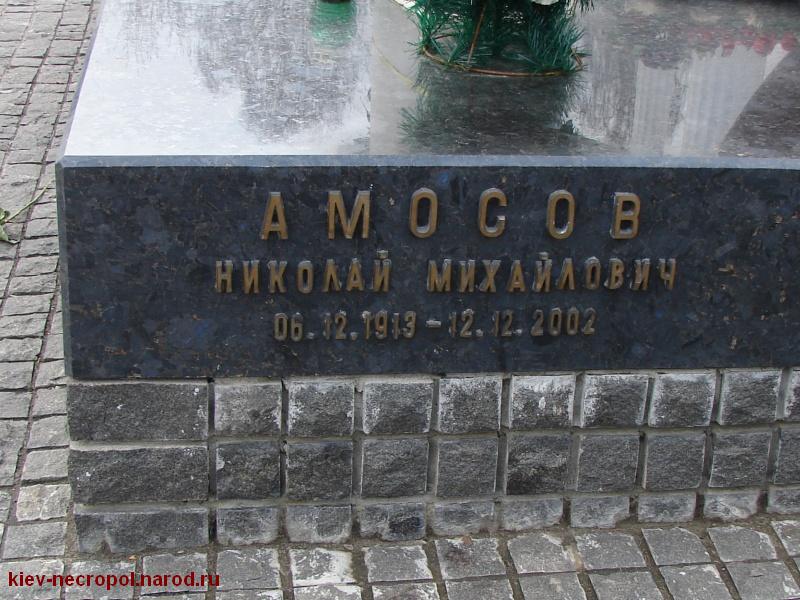 Амосов Николай Михайлович. Байковое кладбище. Фрагмент