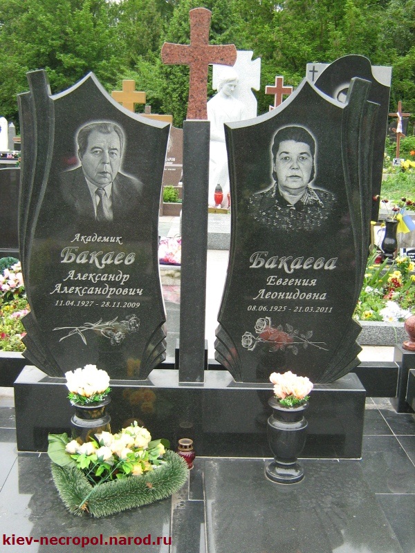 Бакаев Александр Александрович. Байковое кладбище