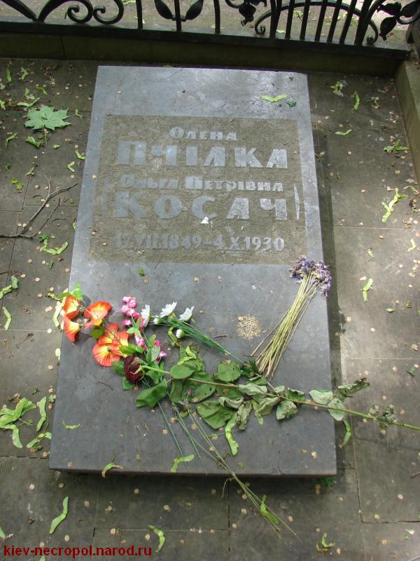 Олена Пчилка. Байковое кладбище