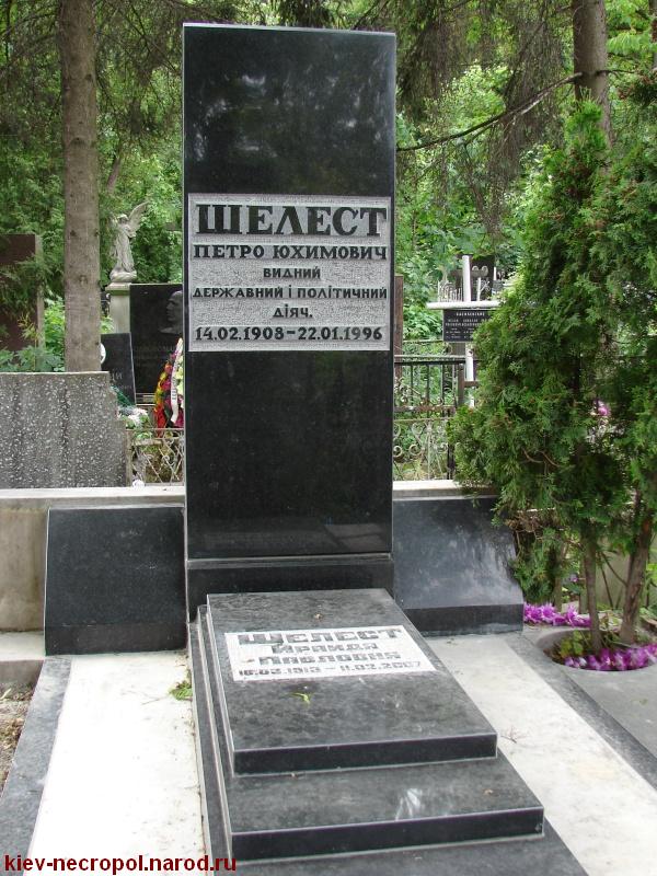 Шелест Ираида Павловна. Байковое кладбище. Общий вид